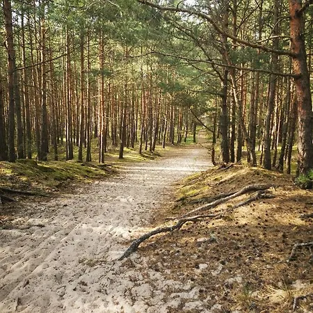 Lejlighed M&k Just Loft, - Wyspa Sobieszewska