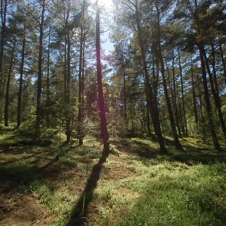 M&k Just Loft, - Wyspa Sobieszewska Lejlighed