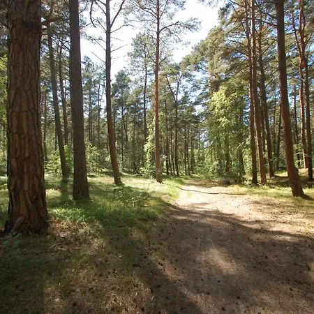 Lejlighed M&k Just Loft, - Wyspa Sobieszewska