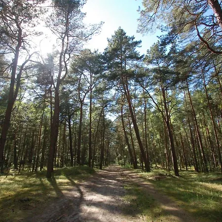 M&k Just Loft, - Wyspa Sobieszewska Lejlighed *