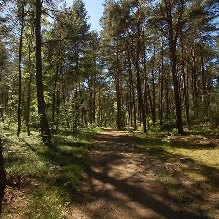 M&k Just Loft, - Wyspa Sobieszewska * Gdańsk