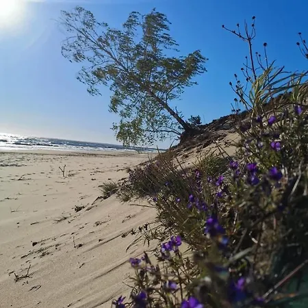 M&k Just Loft, - Wyspa Sobieszewska *